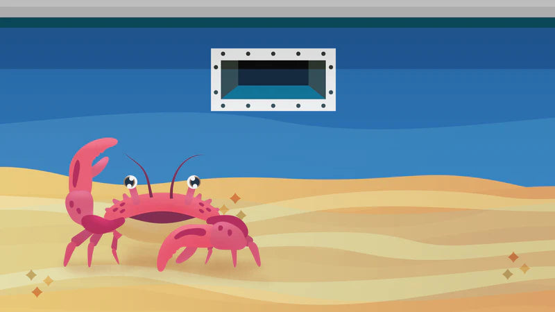 Why There is Sand in Your Pool and How to Get Rid of it