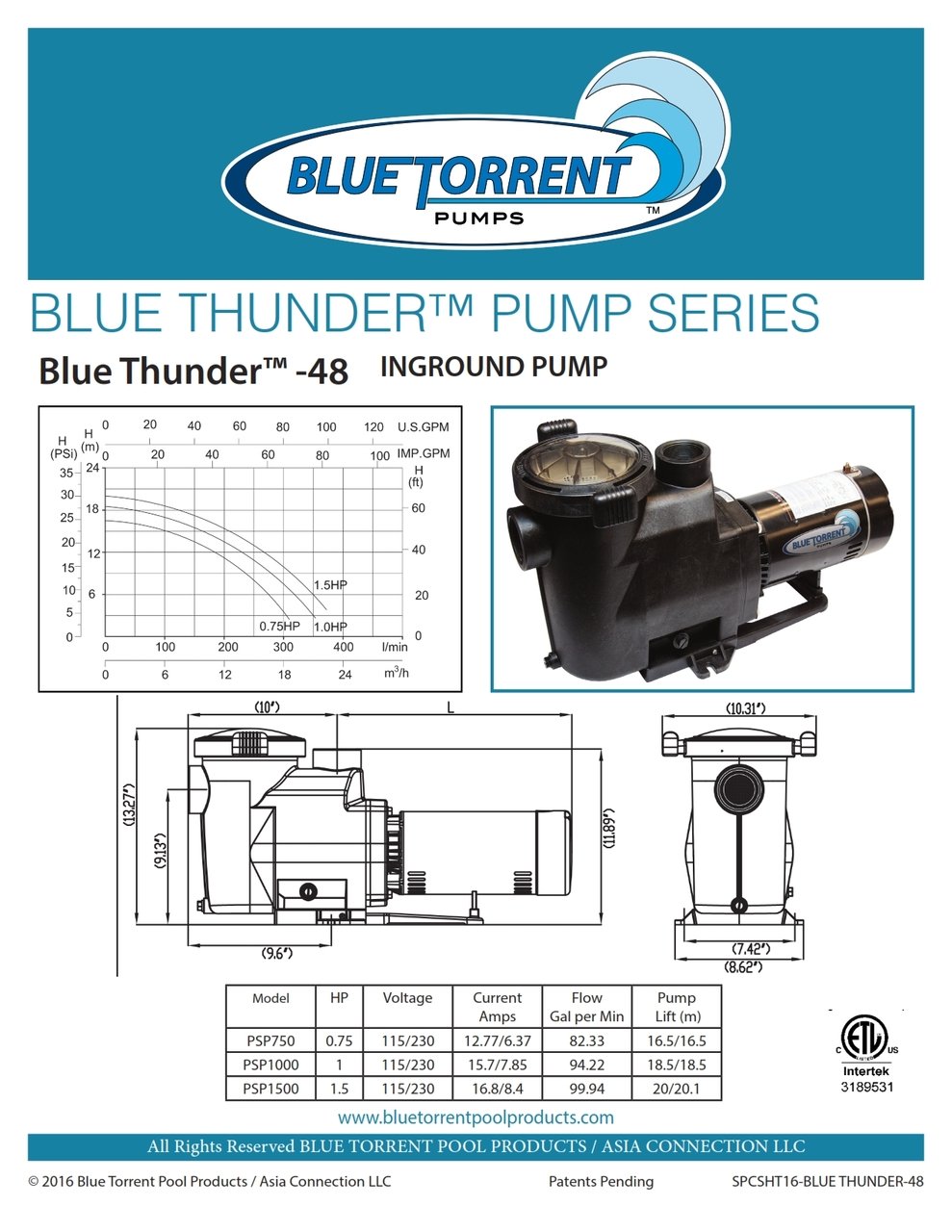 Blue Thunder In Ground Single Speed 2 Inch Ports To Retro-Fit to Most Pentair Whisper Flow Pumps